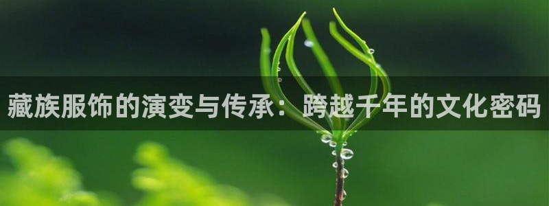 谈球吧网页登陆