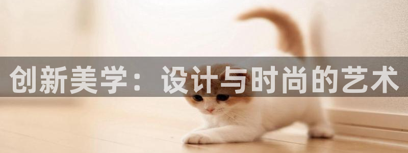 谈球吧在线观看