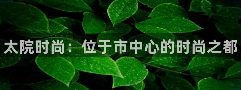 谈球吧官网在线入口免费观看高清版