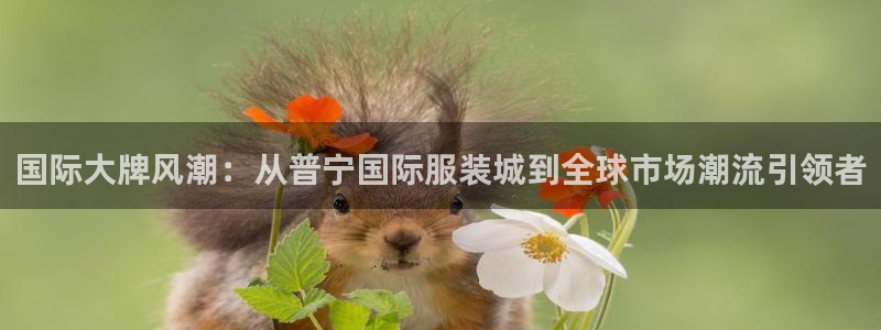 谈球吧中国