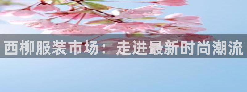 谈球吧官网在线入口免费观看视频