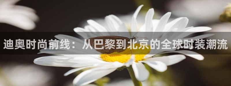 谈球吧的聊天软件有哪些