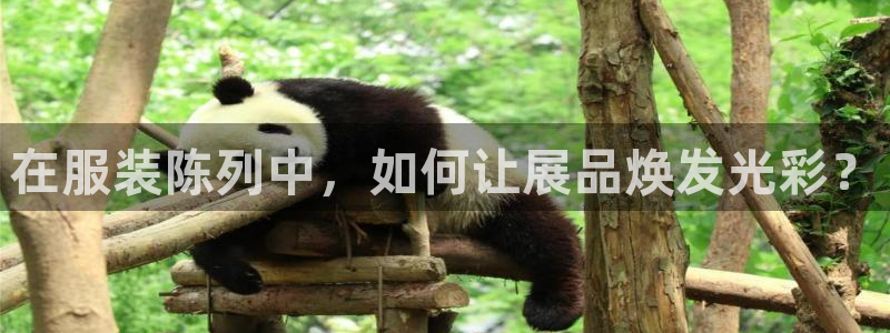 谈球吧体育