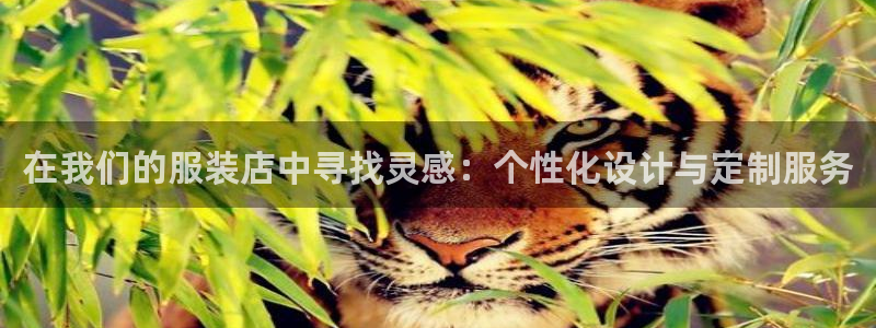谈球吧nba
