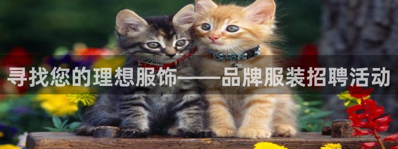 谈球吧体育app下载官网