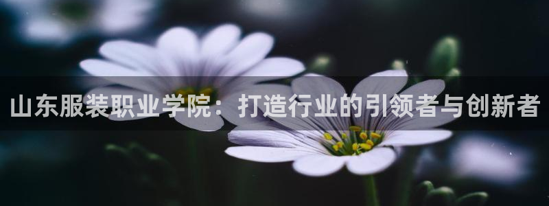 谈球吧出款