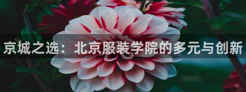 谈球吧下载