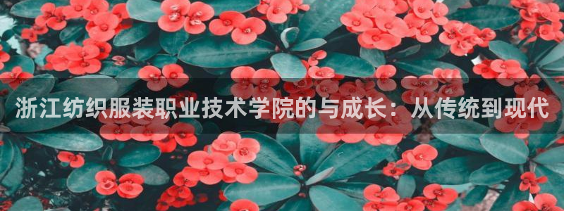 谈球吧官网在线入口手机版免费观看