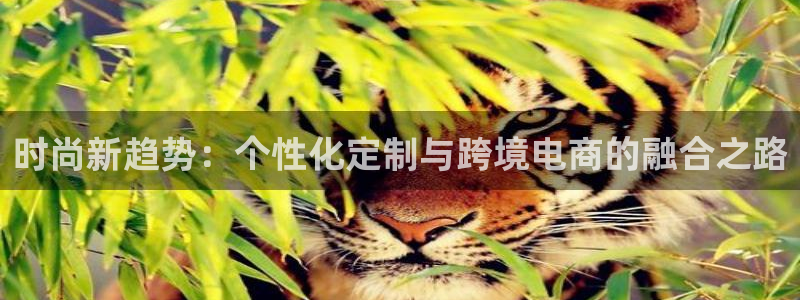 谈球吧娱乐app下载官网苹果手机：时尚新