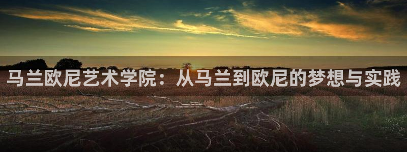 谈球吧体育app下载官网