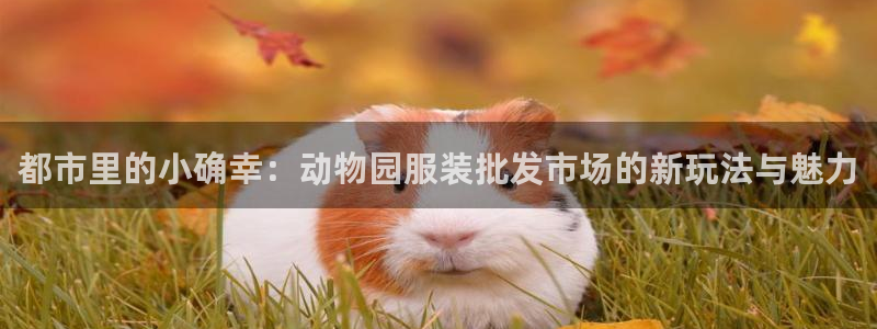 谈球吧app下载安装