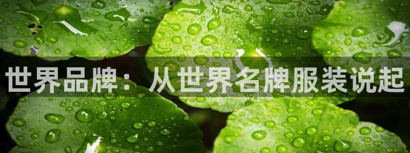 谈球吧体育app下载足球直播软件