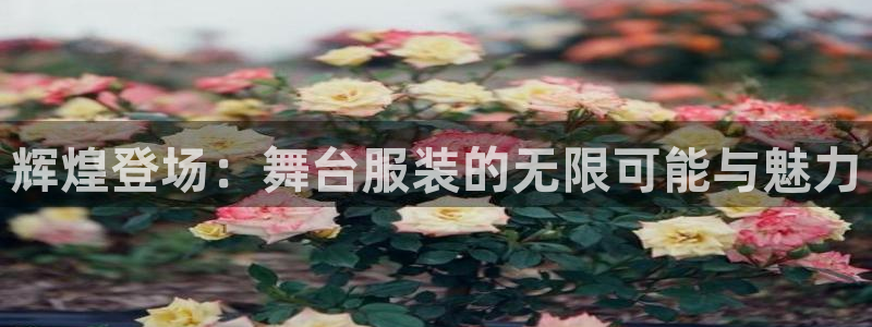 谈球吧App