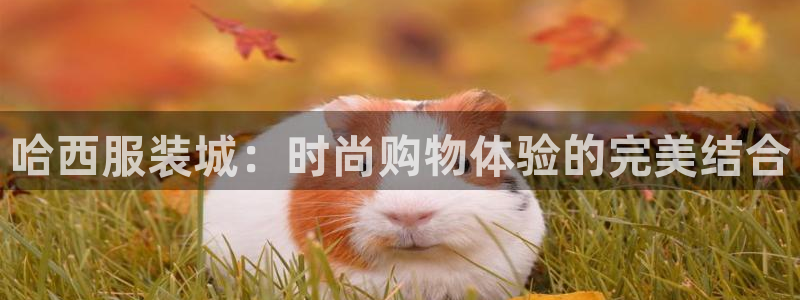 谈球吧怎么充值