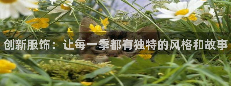 谈球吧的聊天软件有哪些
