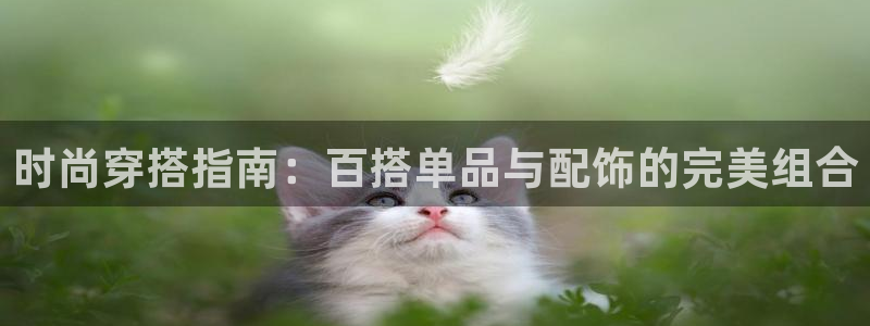 谈球吧体育官网在线入口免费观看