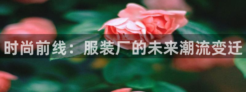 谈球吧官网在线入口免费观看高清视频