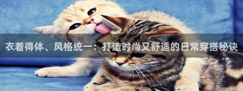 谈球吧下载