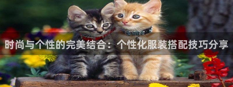 谈球吧官网在线入口手机版