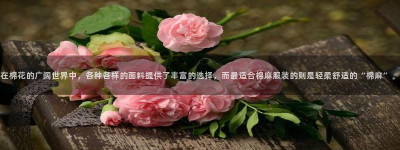 谈球吧全站app下载