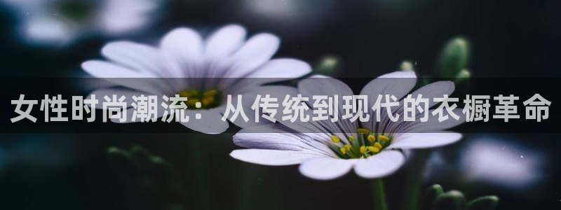 谈球吧体育app下载官网安卓