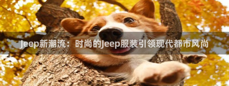 谈球吧是黑台子吗知乎
