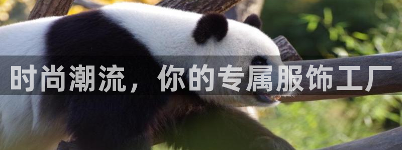 谈球吧app官网