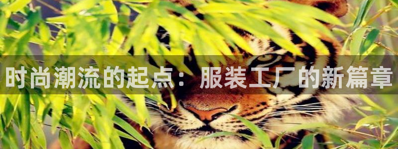谈球吧平台正规吗可靠吗