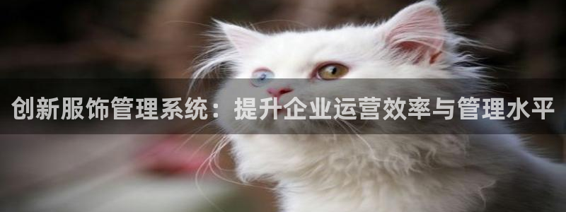 谈球吧怎么样