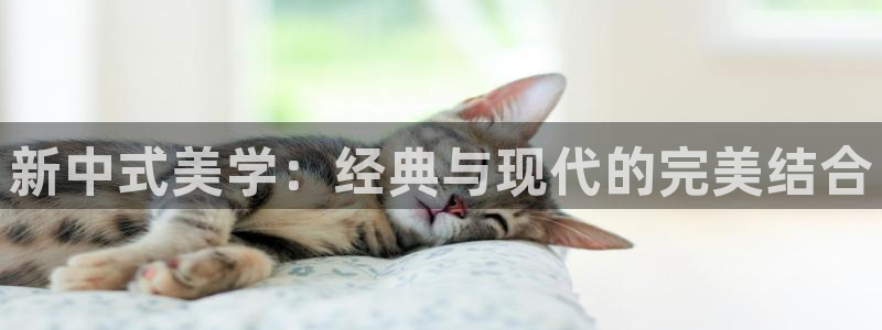谈球吧电子app