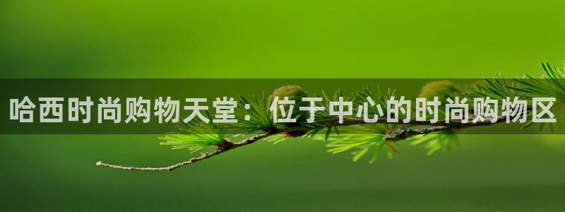 谈球吧体育官方入口