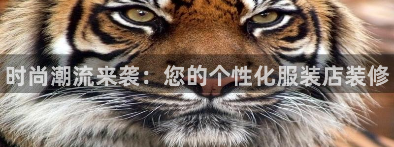 谈球吧娱乐app下载官网苹果版