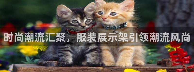 谈球吧出款