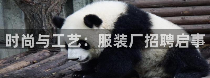 谈球吧体育app下载中心官方最新版