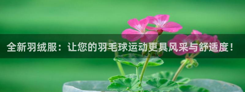 谈球吧app赛事分析在哪里看