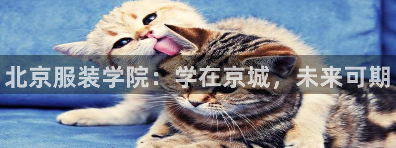 谈球吧平台正规吗