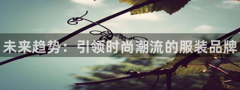 谈球吧官网在线入口手机版免费下载