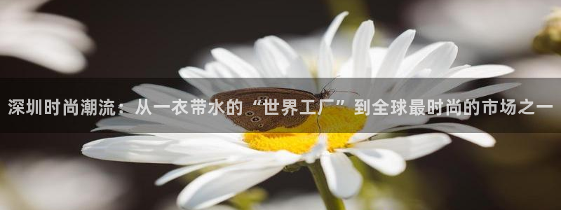 谈球吧娱乐app下载官网苹果