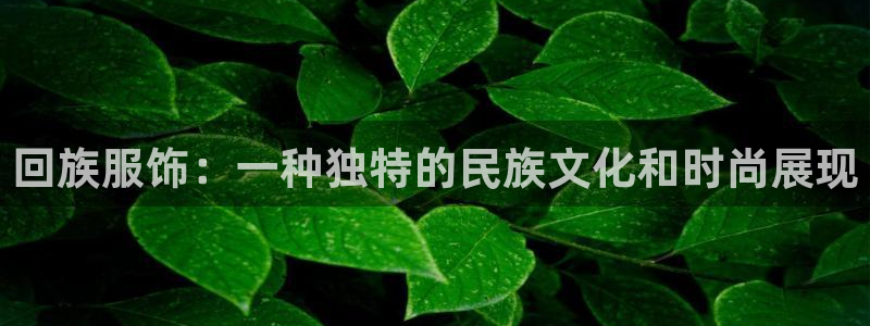 谈球吧综合官网app