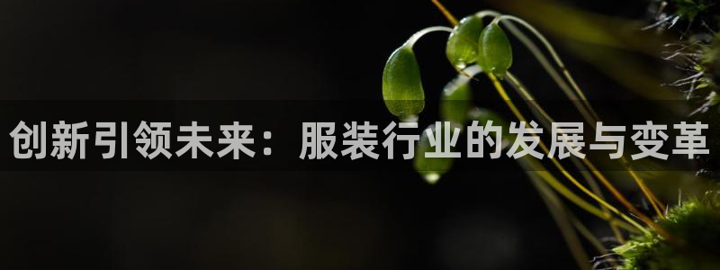 谈球吧出款怎样?