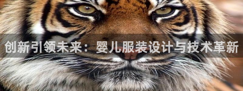 谈球吧红包激活码