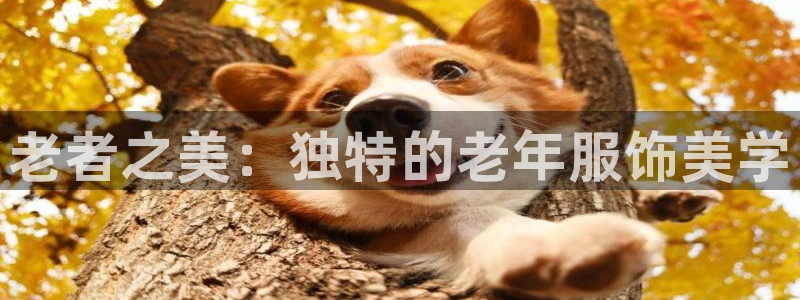 谈球吧体育赛事入口