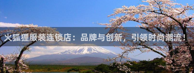 谈球吧与普通平台对比