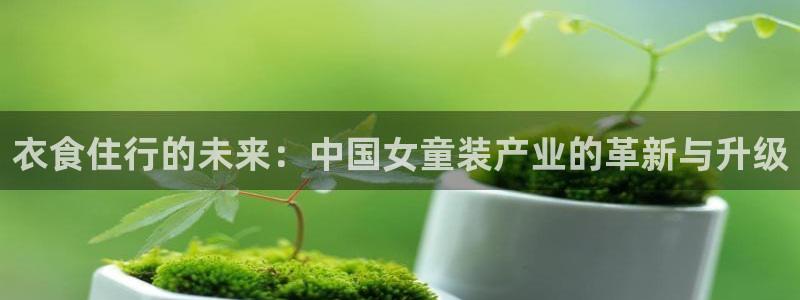 谈球吧-体育赛事