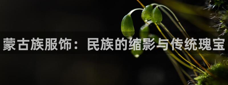 谈球吧的聊天软件有哪些