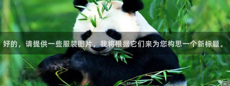 谈球吧官网提款不了