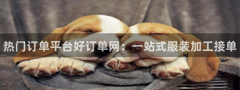 谈球吧体育官网在线入口