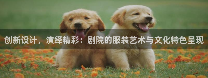 谈球吧官网在线入口免费观看视频