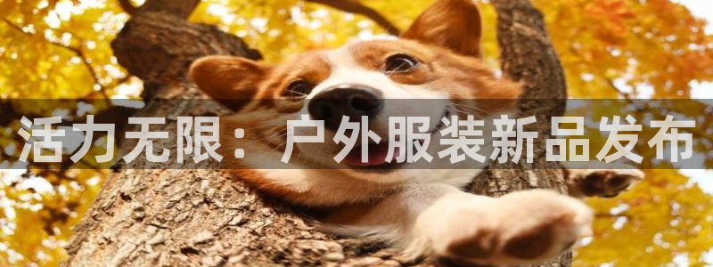 谈球吧全站app下载