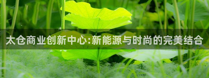 谈球吧全站app下载手机版
